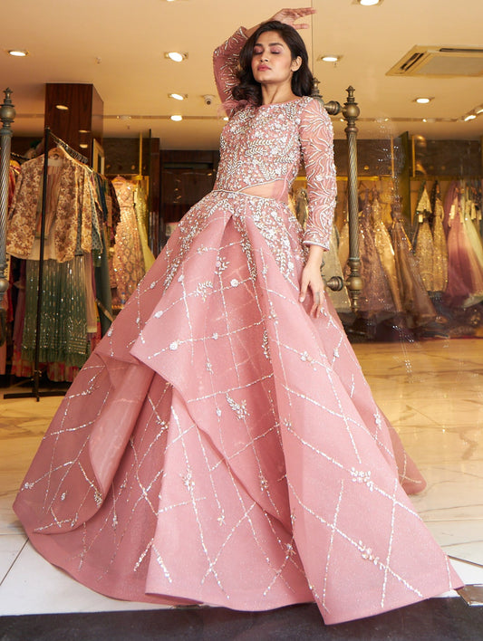 Aashi – Pink Princess Ball Gown with Feather & Sequin Embellishments