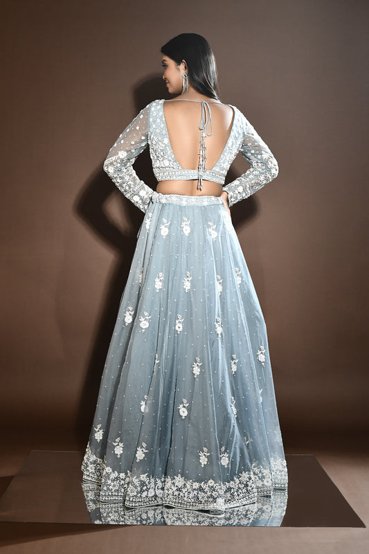 Vaani Regal Lehenga Set