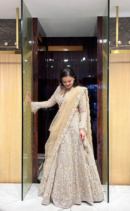 Alayna Hand embroidered Bridal Lehenga