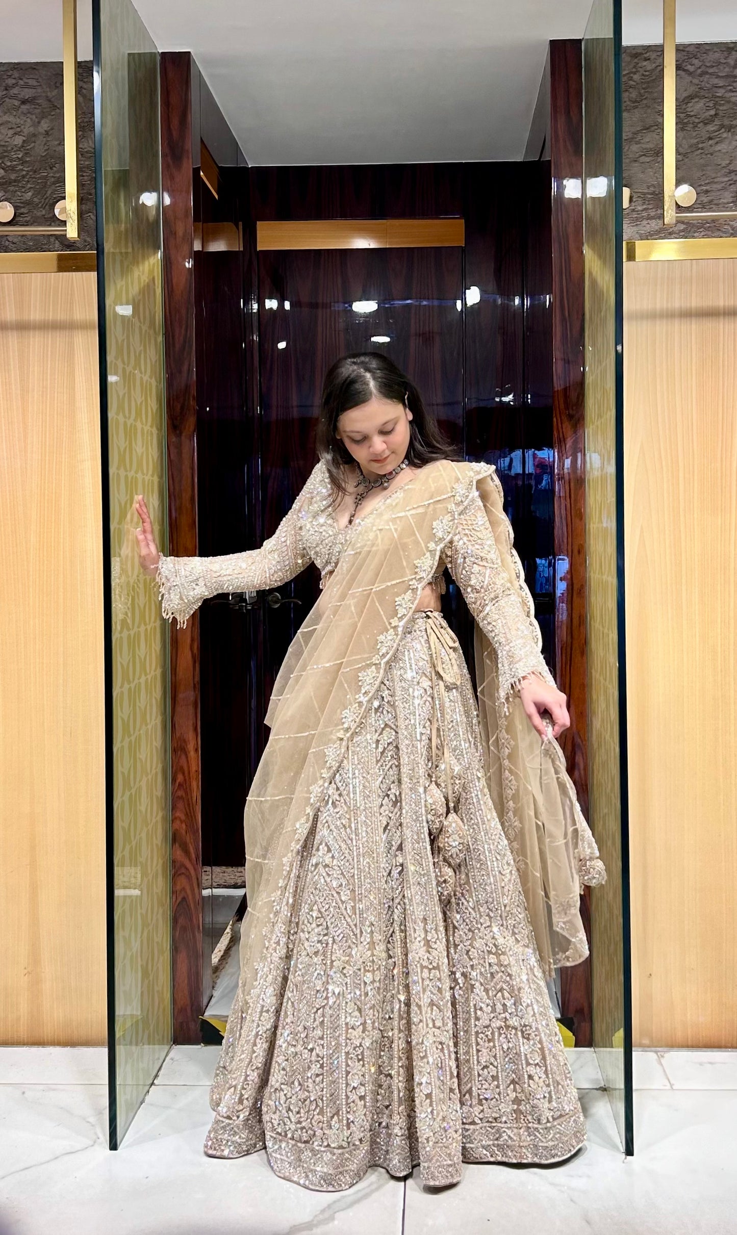 Alayna Hand embroidered Bridal Lehenga