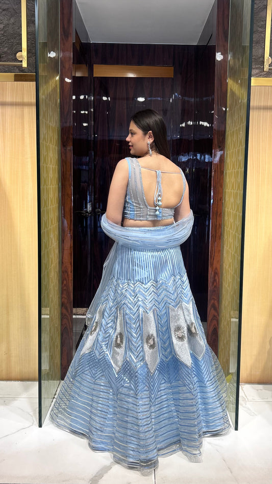 Back- Ice blue net lehenga with zari patch detailing