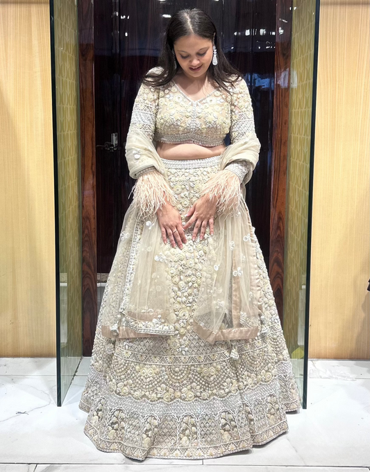 Beige/gold net lehenga with hand embroidery and feathers. Falguni Shane Peacock Inspired Lehenga